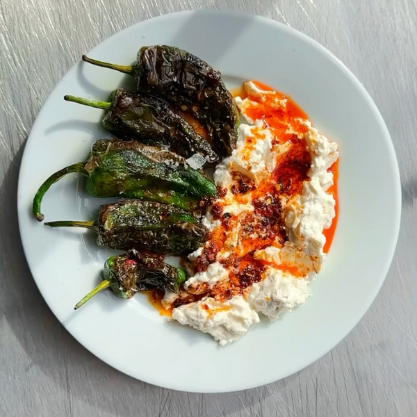 Padron Pepper Recipe